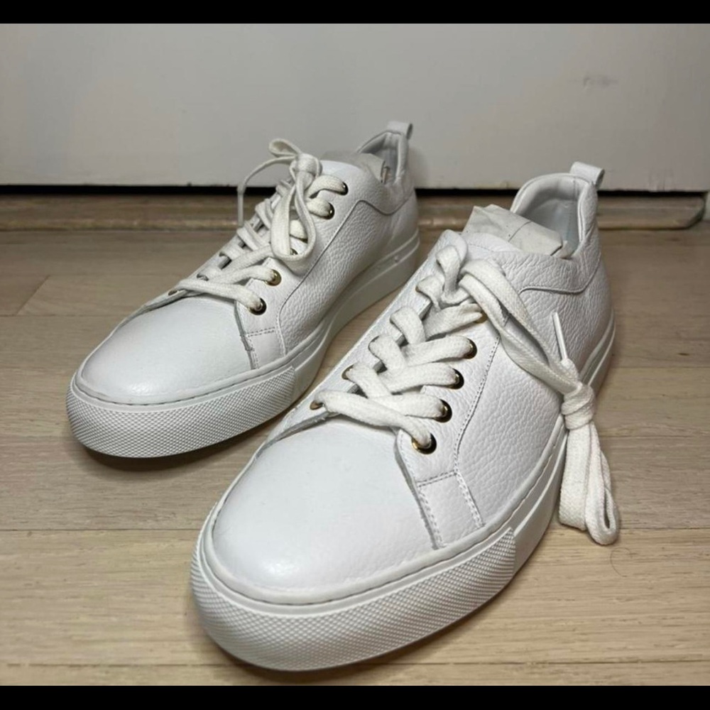 M. Gemi The Palestra Due